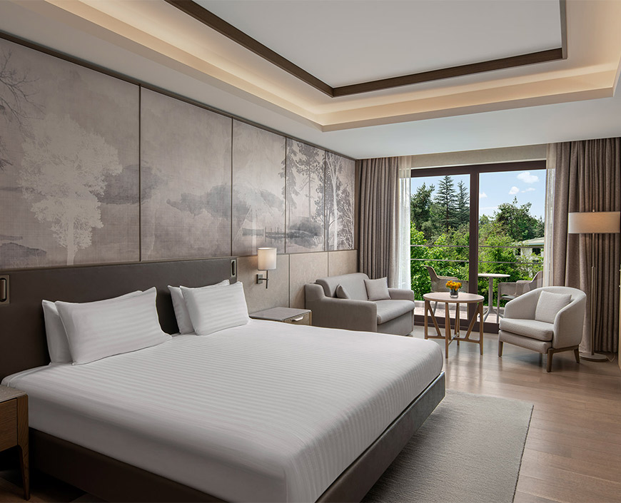 Teraslı Superior Deluxe Oda